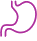 Stomach Icon